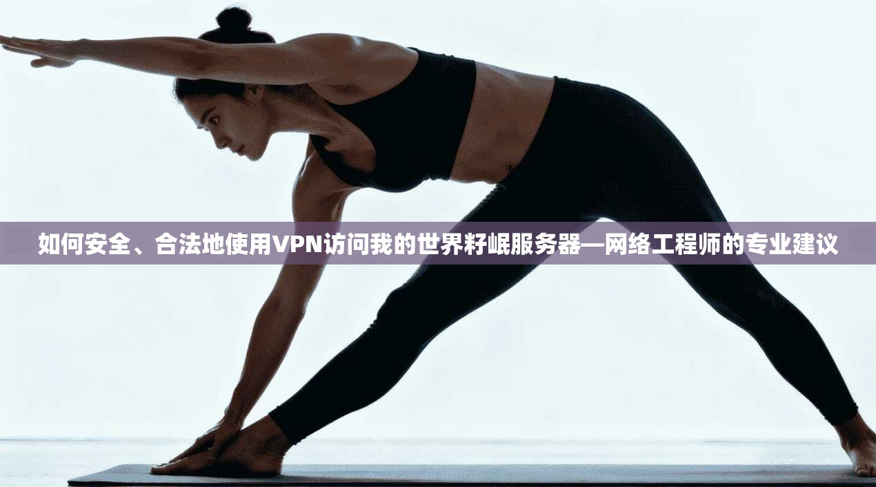 如何安全、合法地使用VPN访问我的世界籽岷服务器—网络工程师的专业建议