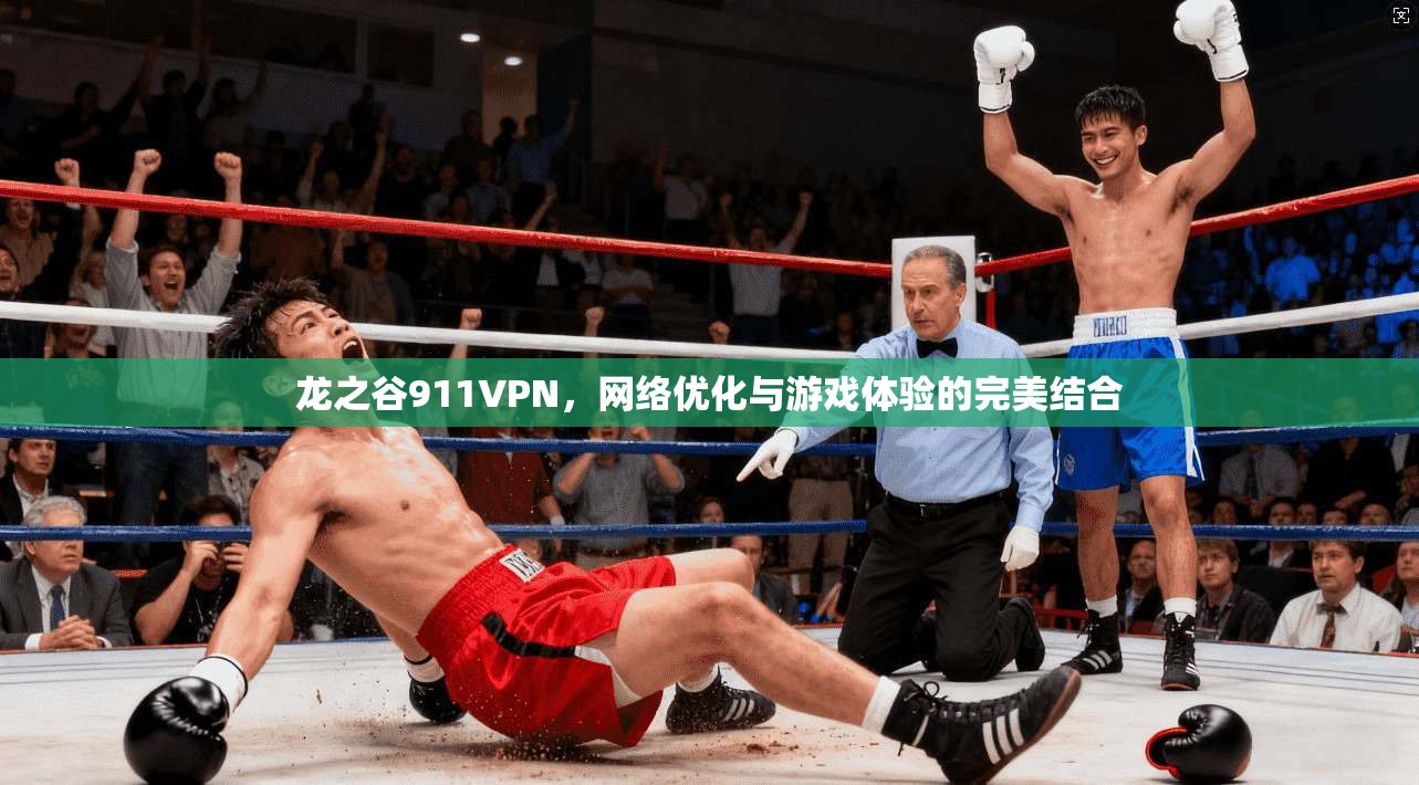 龙之谷911VPN，网络优化与游戏体验的完美结合