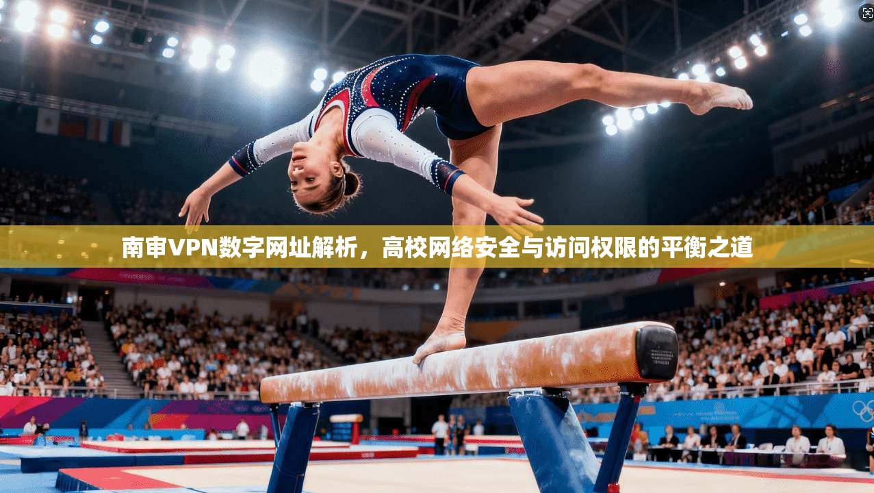 南审VPN数字网址解析，高校网络安全与访问权限的平衡之道