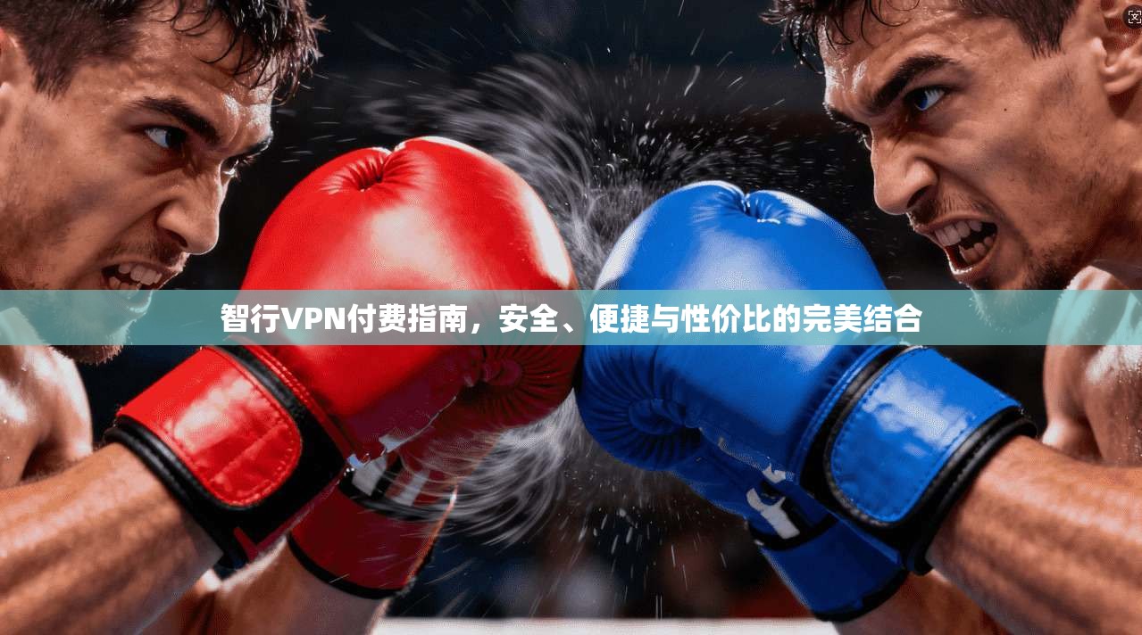 智行VPN付费指南，安全、便捷与性价比的完美结合