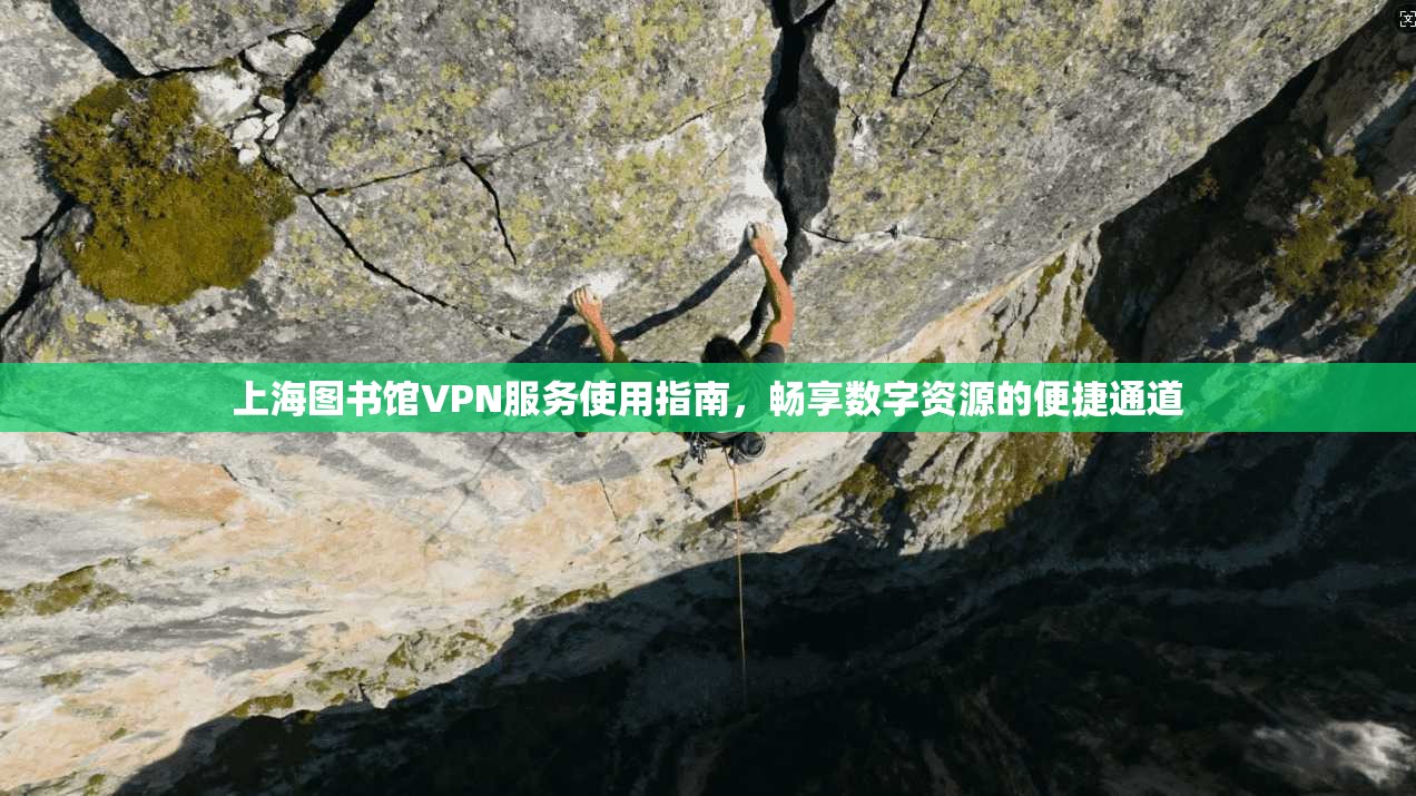 上海图书馆VPN服务使用指南，畅享数字资源的便捷通道
