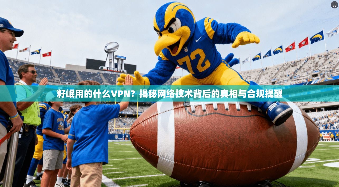 籽岷用的什么VPN？揭秘网络技术背后的真相与合规提醒