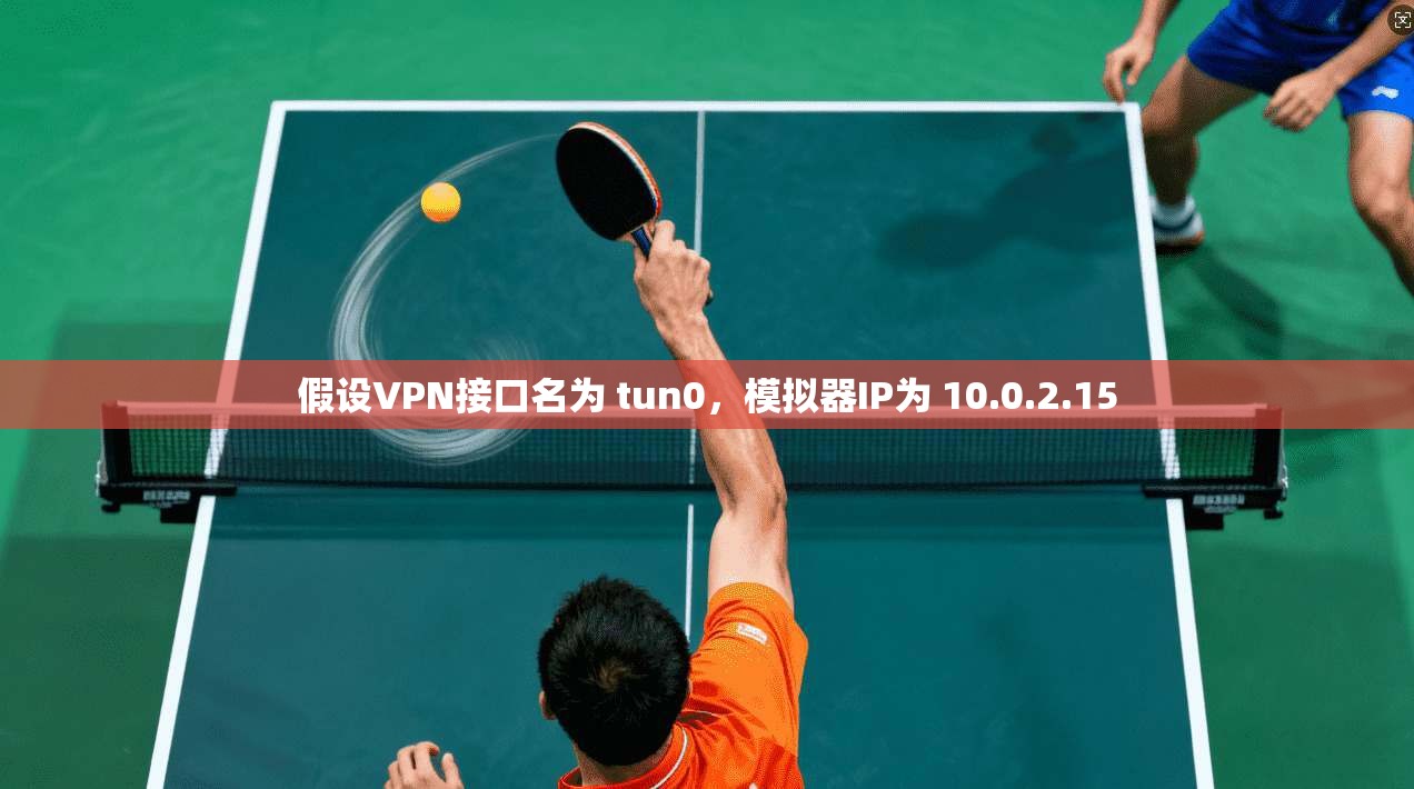 假设VPN接口名为 tun0，模拟器IP为 10.0.2.15