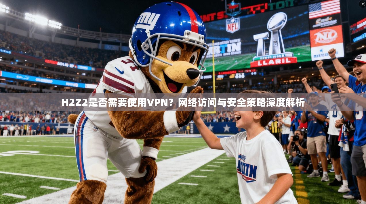 H2Z2是否需要使用VPN？网络访问与安全策略深度解析