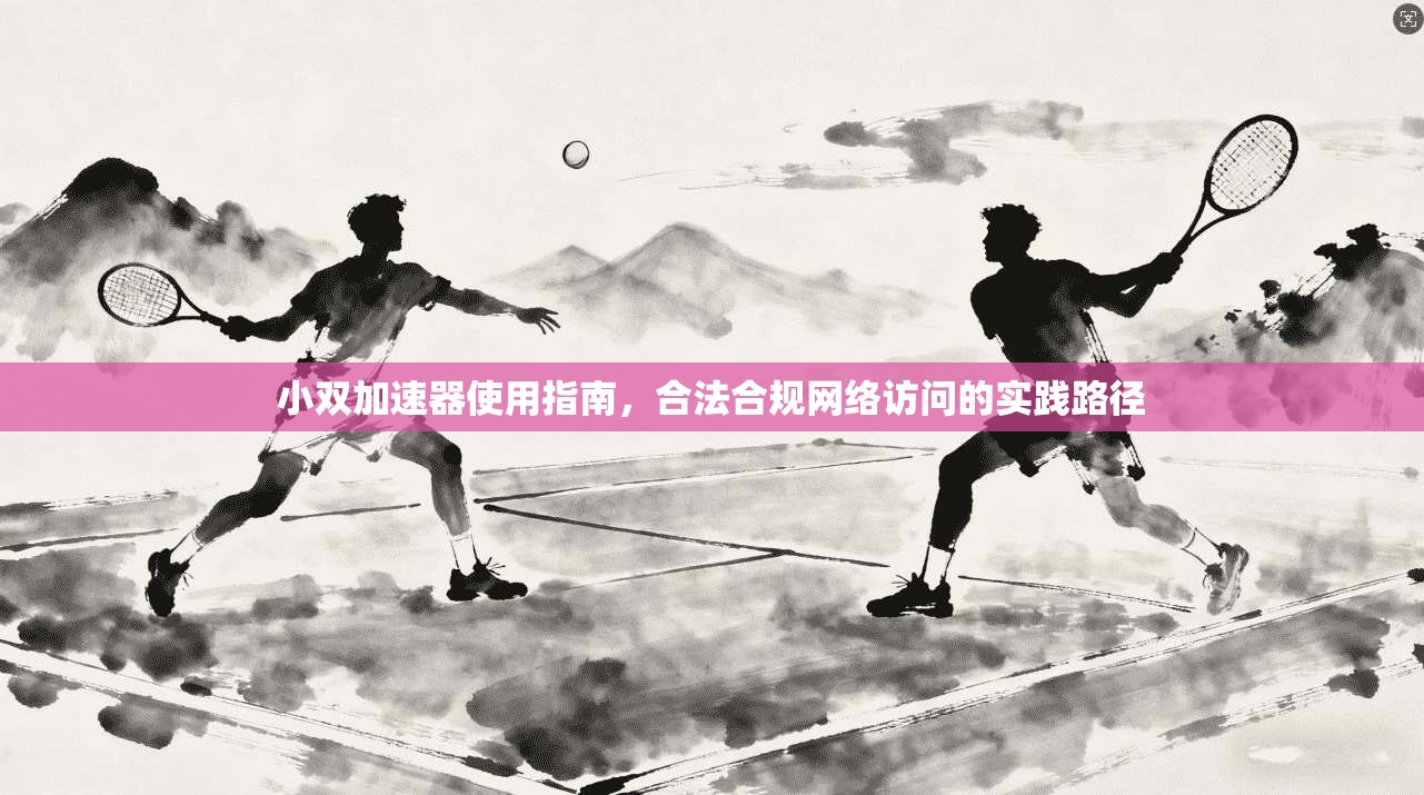 小双加速器使用指南，合法合规网络访问的实践路径