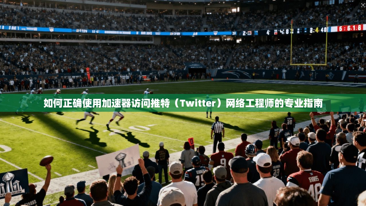 如何正确使用加速器访问推特（Twitter）网络工程师的专业指南