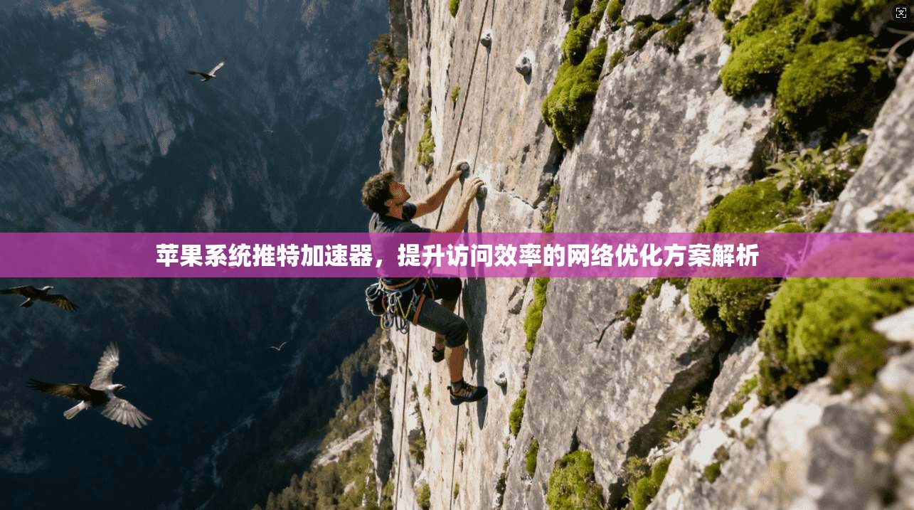 苹果系统推特加速器，提升访问效率的网络优化方案解析
