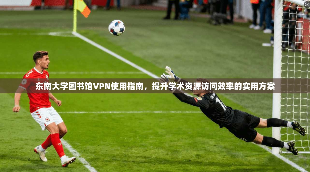 东南大学图书馆VPN使用指南，提升学术资源访问效率的实用方案