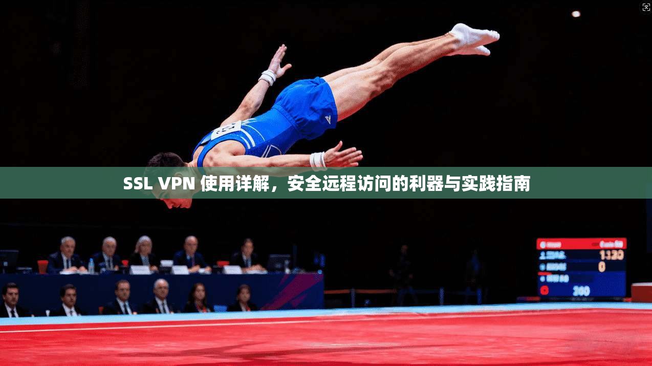 SSL VPN 使用详解,安全远程访问的利器与实践指南 SSL VPN 使用详解,安全远程访问的利器与实践指南