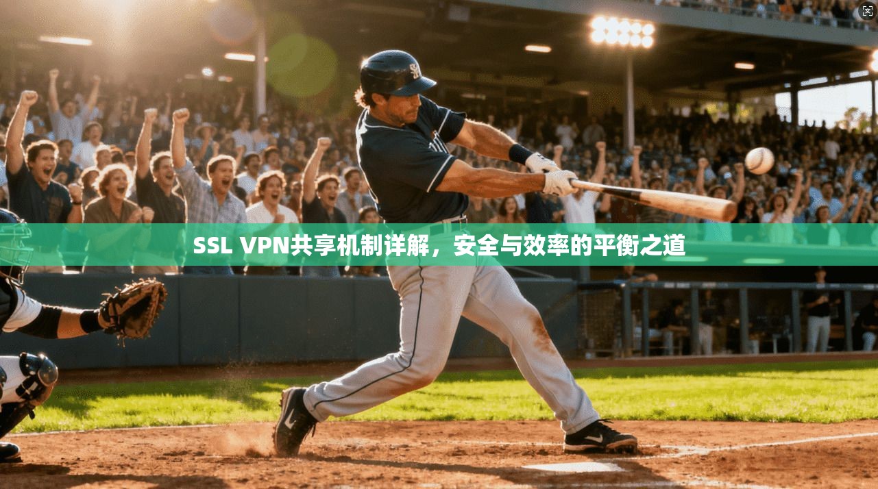 SSL VPN共享机制详解,安全与效率的平衡之道 SSL VPN共享机制详解,安全与效率的平衡之道