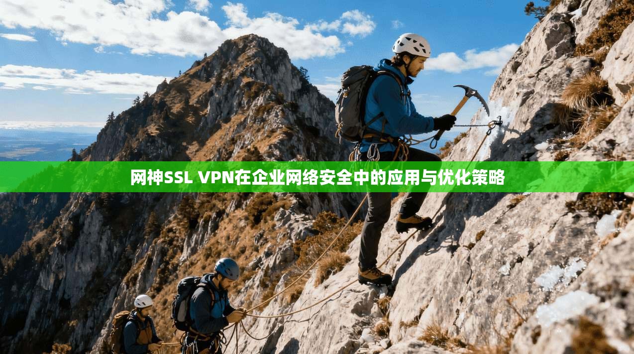 网神SSL VPN在企业网络安全中的应用与优化策略 网神SSL VPN在企业网络安全中的应用与优化策略
