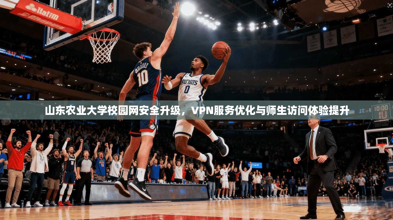 山东农业大学校园网安全升级，VPN服务优化与师生访问体验提升