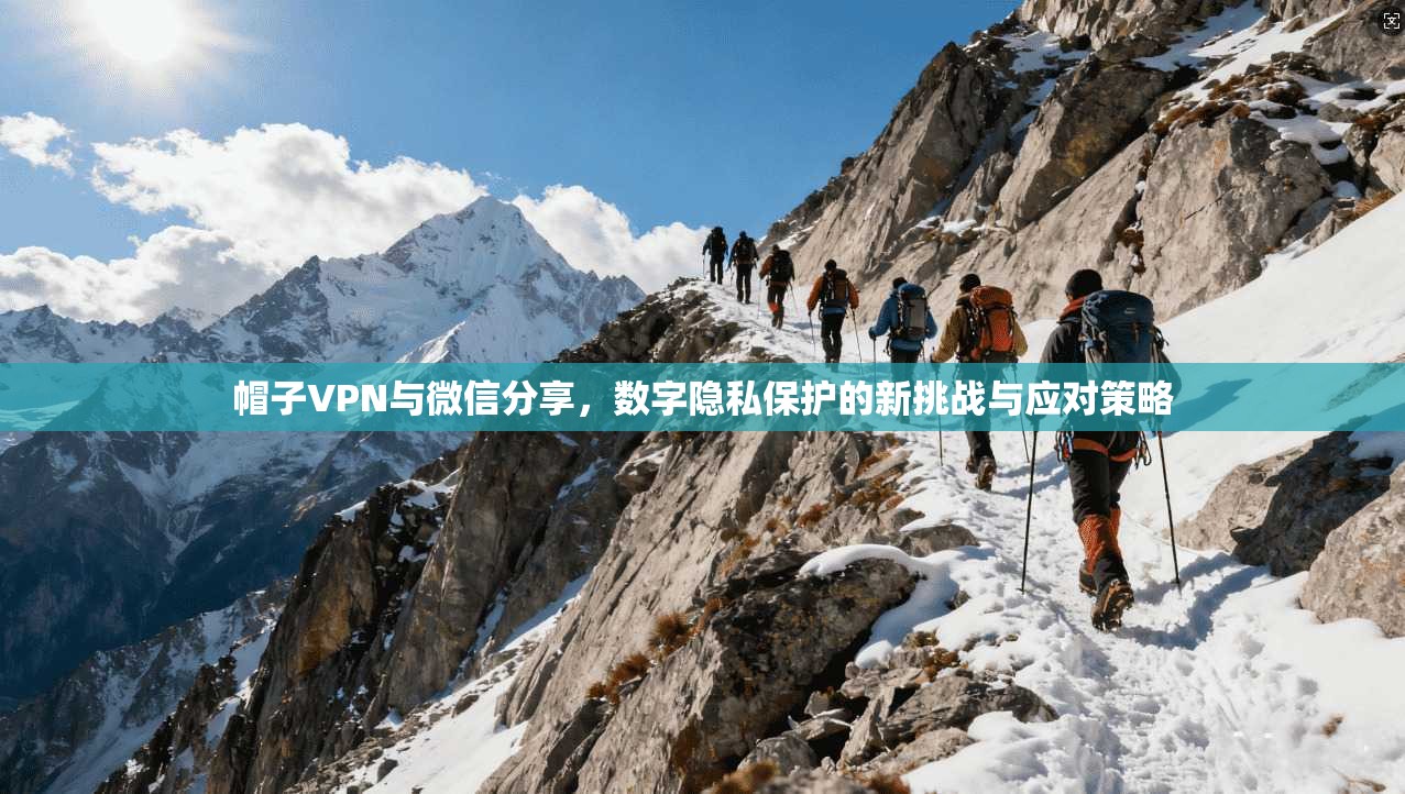 帽子VPN与微信分享，数字隐私保护的新挑战与应对策略