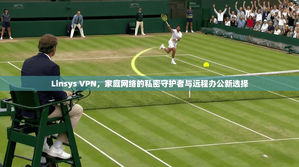 Linsys VPN，家庭网络的私密守护者与远程办公新选择