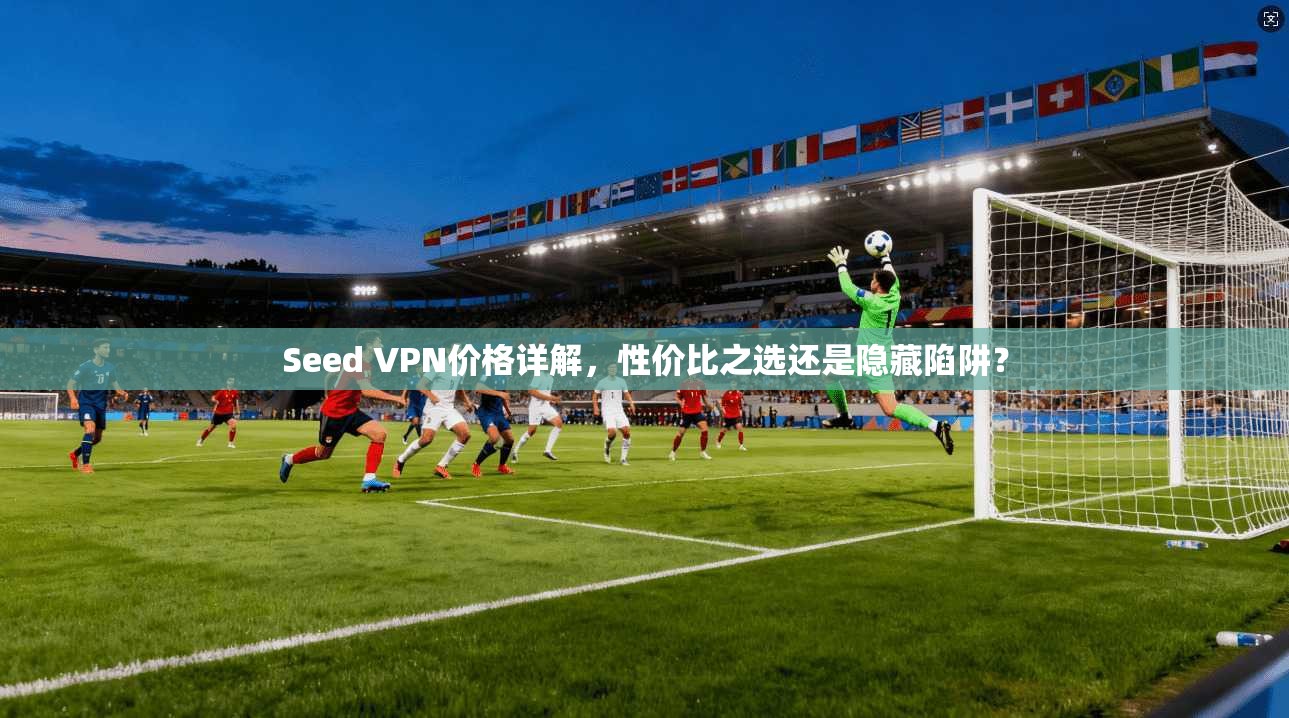 Seed VPN价格详解，性价比之选还是隐藏陷阱？
