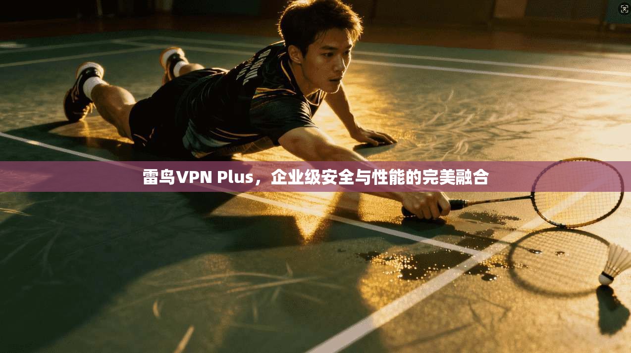 雷鸟VPN Plus,企业级安全与性能的完美融合 雷鸟VPN Plus,企业级安全与性能的完美融合