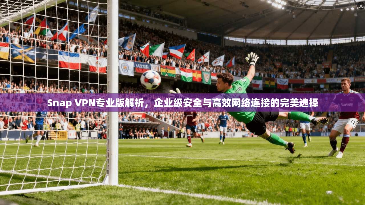 Snap VPN专业版解析,企业级安全与高效网络连接的完美选择 Snap VPN专业版解析,企业级安全与高效网络连接的完美选择