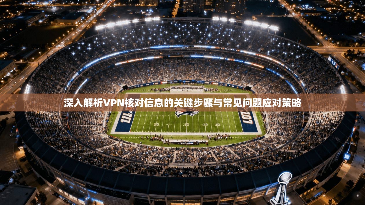 深入解析VPN核对信息的关键步骤与常见问题应对策略
