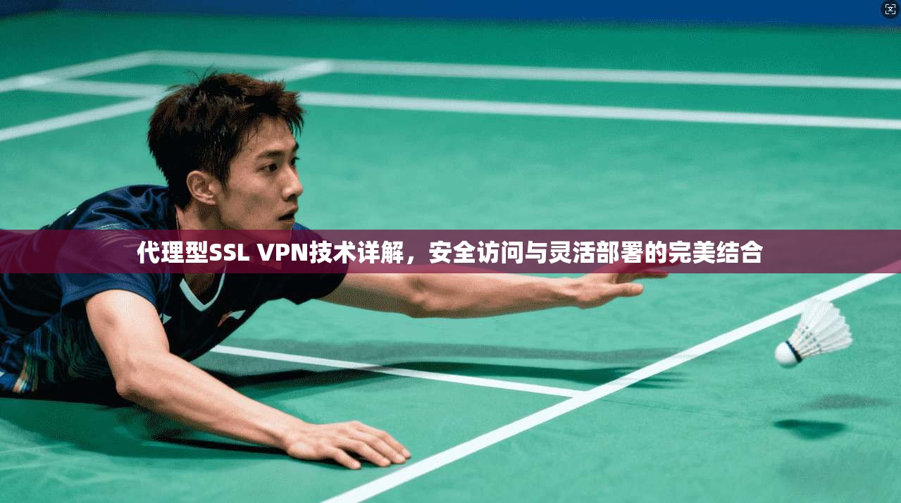 代理型SSL VPN技术详解，安全访问与灵活部署的完美结合