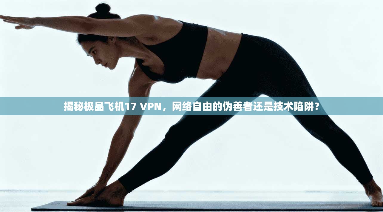 揭秘极品飞机17 VPN，网络自由的伪善者还是技术陷阱？