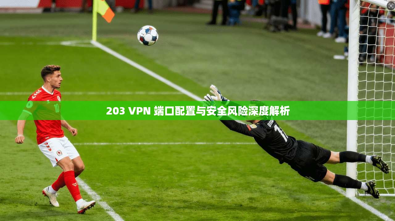 203 VPN 端口配置与安全风险深度解析 203 VPN 端口配置与安全风险深度解析