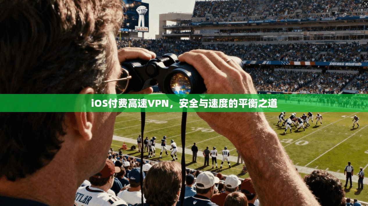 iOS付费高速VPN，安全与速度的平衡之道