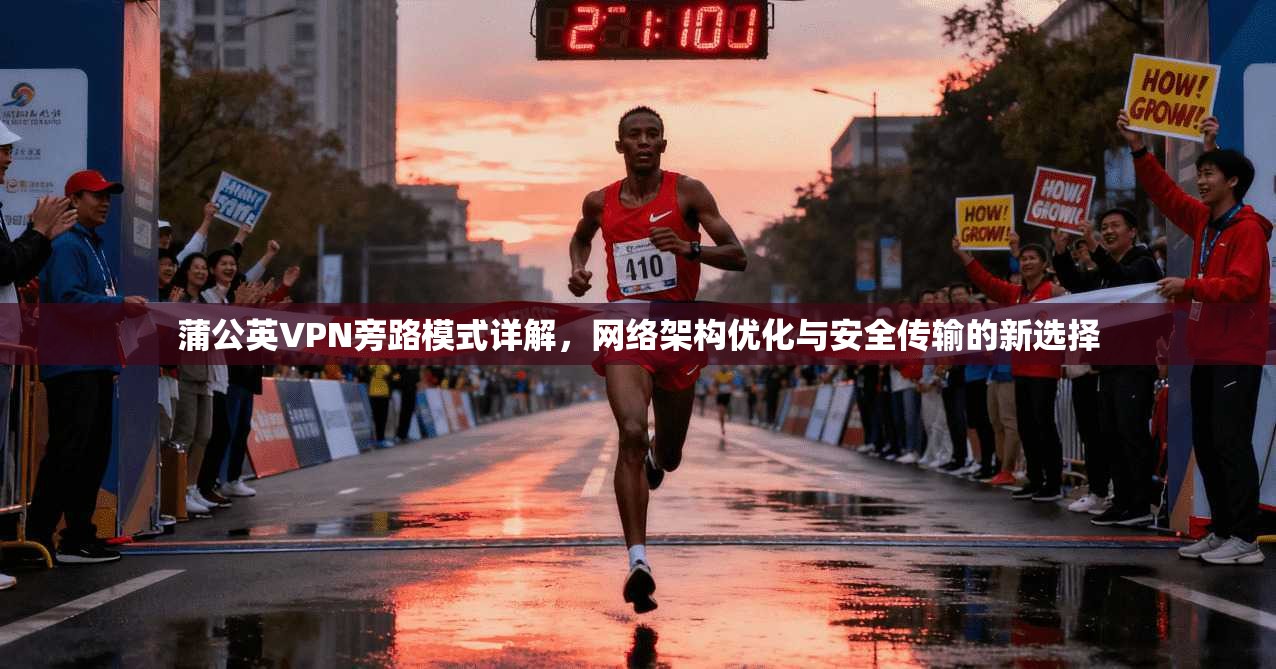 蒲公英VPN旁路模式详解，网络架构优化与安全传输的新选择