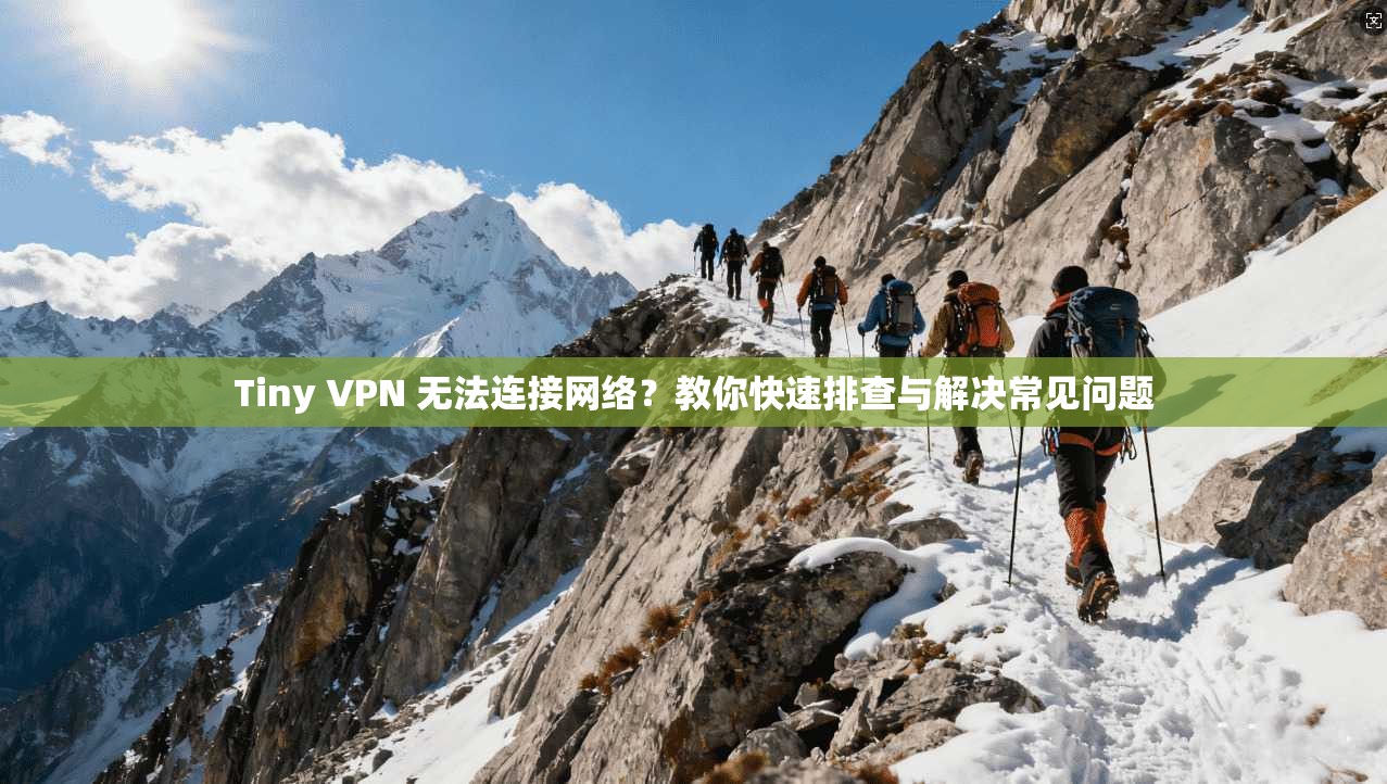 Tiny VPN 无法连接网络？教你快速排查与解决常见问题