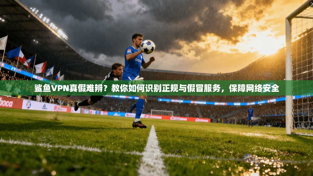 鲨鱼VPN真假难辨？教你如何识别正规与假冒服务，保障网络安全