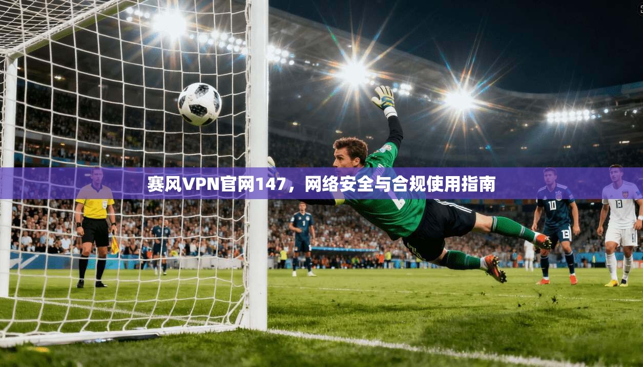赛风VPN官网147，网络安全与合规使用指南