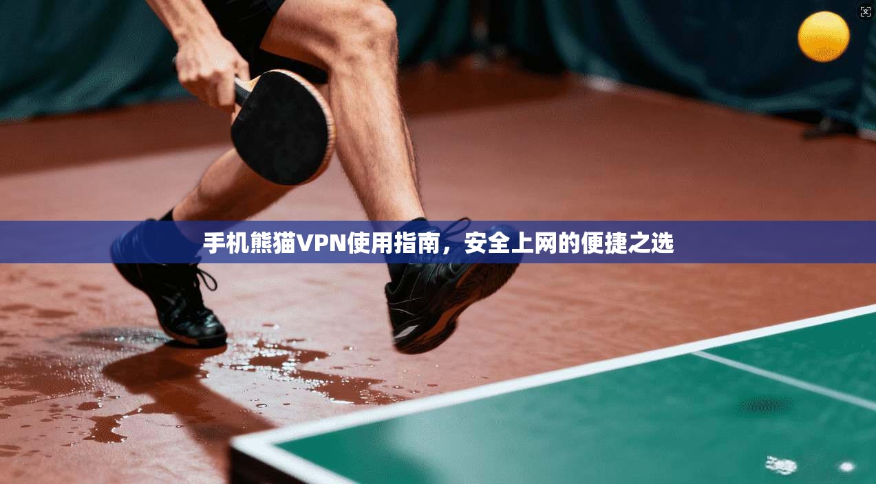 手机熊猫VPN使用指南,安全上网的便捷之选 手机熊猫VPN使用指南,安全上网的便捷之选