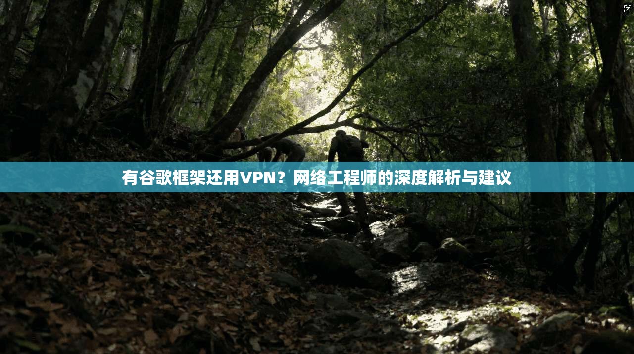 有谷歌框架还用VPN？网络工程师的深度解析与建议