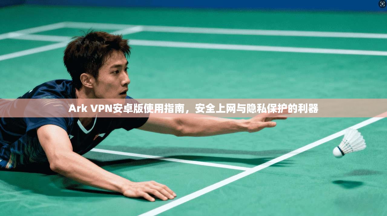 Ark VPN安卓版使用指南，安全上网与隐私保护的利器