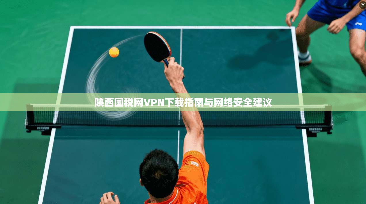 陕西国税网VPN下载指南与网络安全建议