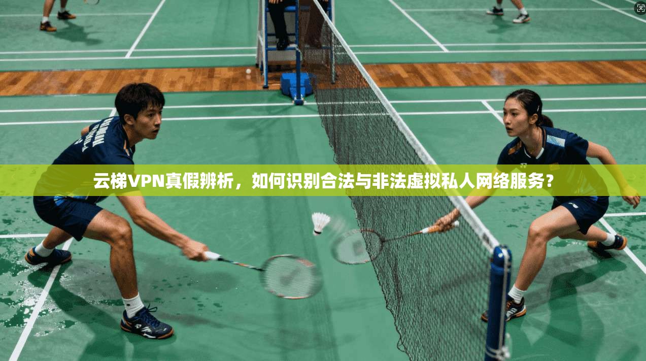 云梯VPN真假辨析，如何识别合法与非法虚拟私人网络服务？