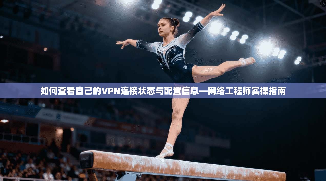 如何查看自己的VPN连接状态与配置信息—网络工程师实操指南