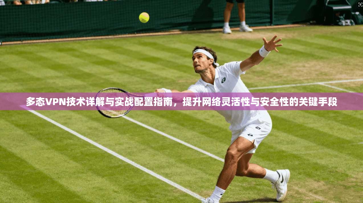 多态VPN技术详解与实战配置指南，提升网络灵活性与安全性的关键手段