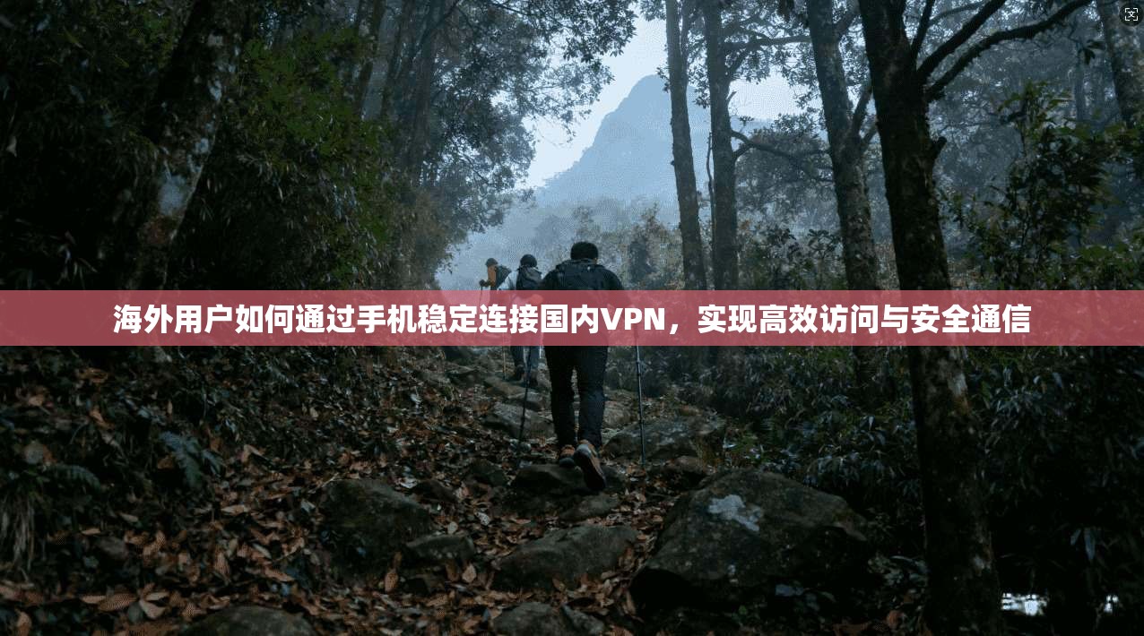 海外用户如何通过手机稳定连接国内VPN,实现高效访问与安全通信 海外用户如何通过手机稳定连接国内VPN,实现高效访问与安全通信