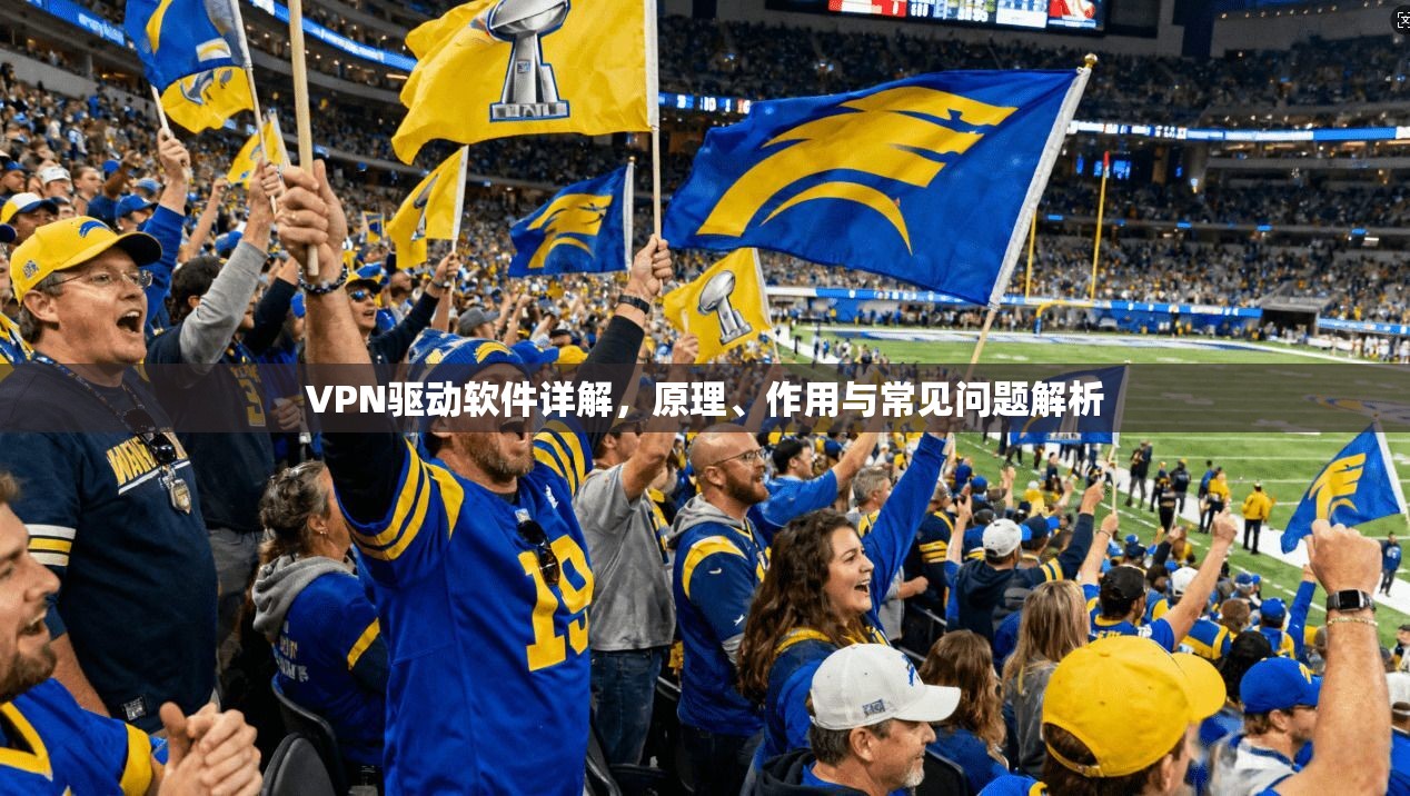 VPN驱动软件详解,原理、作用与常见问题解析 VPN驱动软件详解,原理、作用与常见问题解析