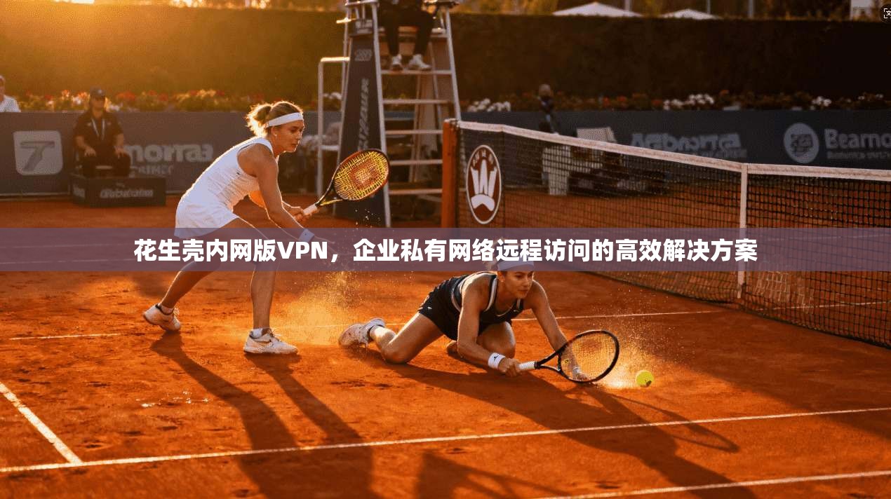 花生壳内网版VPN,企业私有网络远程访问的高效解决方案 花生壳内网版VPN,企业私有网络远程访问的高效解决方案