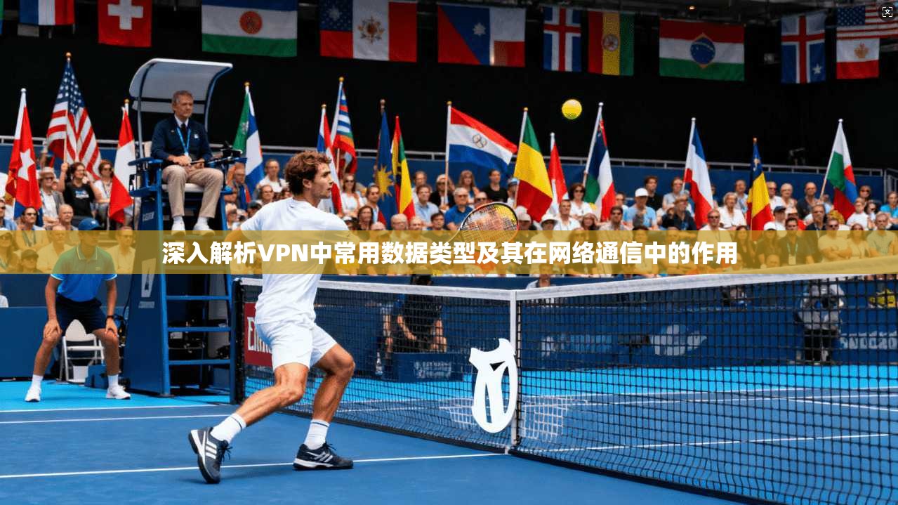 深入解析VPN中常用数据类型及其在网络通信中的作用 深入解析VPN中常用数据类型及其在网络通信中的作用