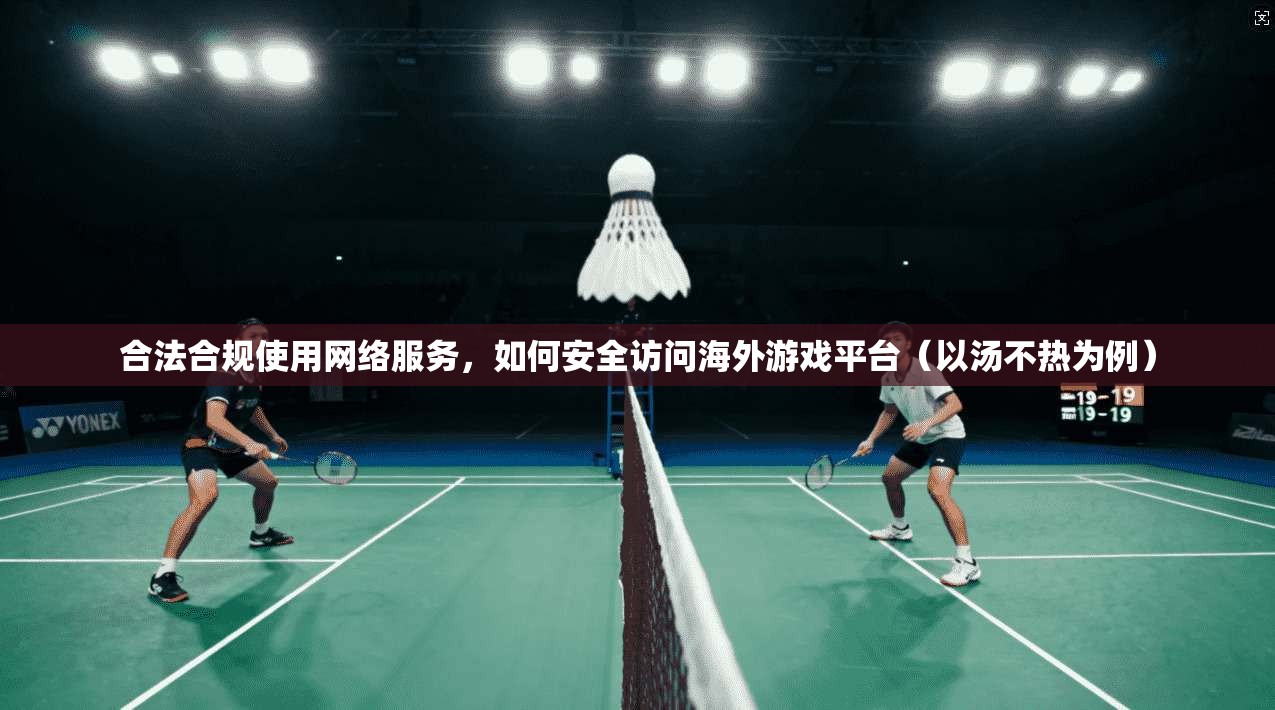 合法合规使用网络服务,如何安全访问海外游戏平台(以汤不热为例) 合法合规使用网络服务,如何安全访问海外游戏平台(以汤不热为例)
