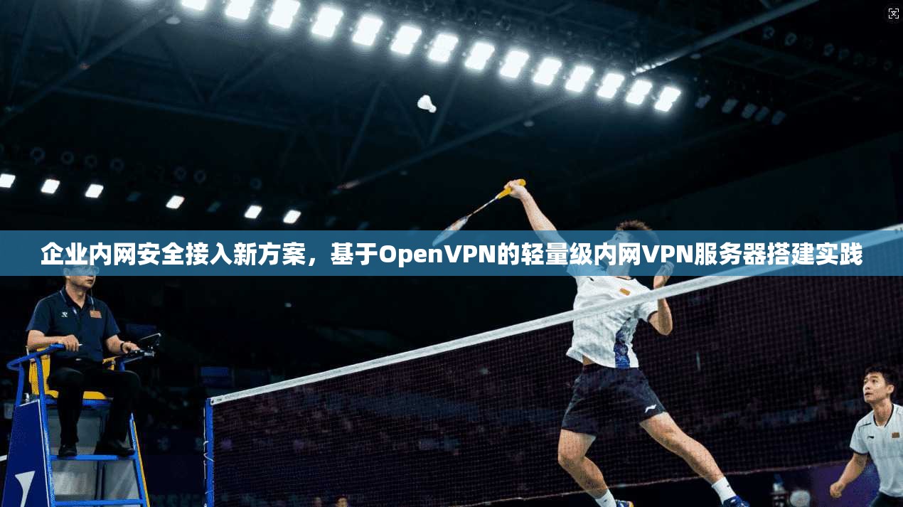 企业内网安全接入新方案,基于OpenVPN的轻量级内网VPN服务器搭建实践 企业内网安全接入新方案,基于OpenVPN的轻量级内网VPN服务器搭建实践