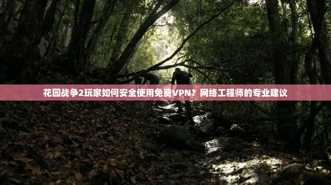 花园战争2玩家如何安全使用免费VPN?网络工程师的专业建议 花园战争2玩家如何安全使用免费VPN?网络工程师的专业建议