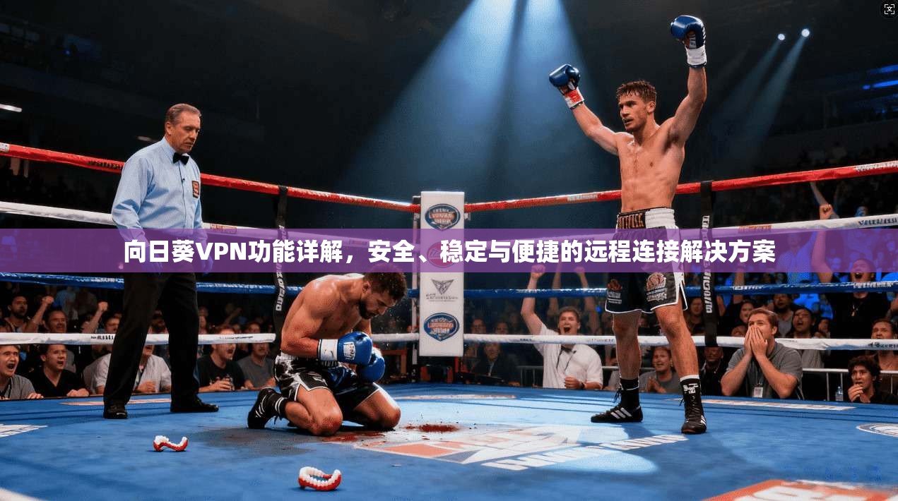 向日葵VPN功能详解，安全、稳定与便捷的远程连接解决方案