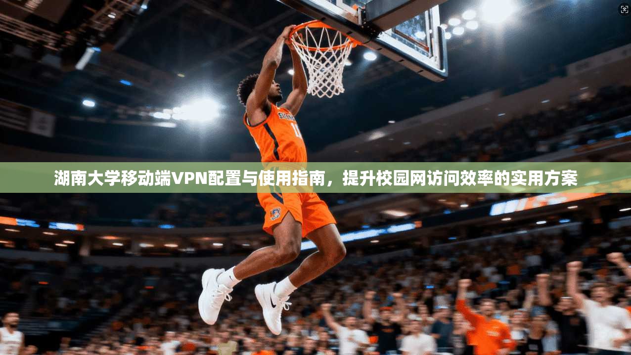 湖南大学移动端VPN配置与使用指南，提升校园网访问效率的实用方案