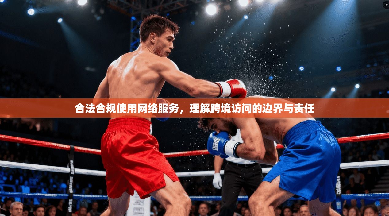 合法合规使用网络服务，理解跨境访问的边界与责任