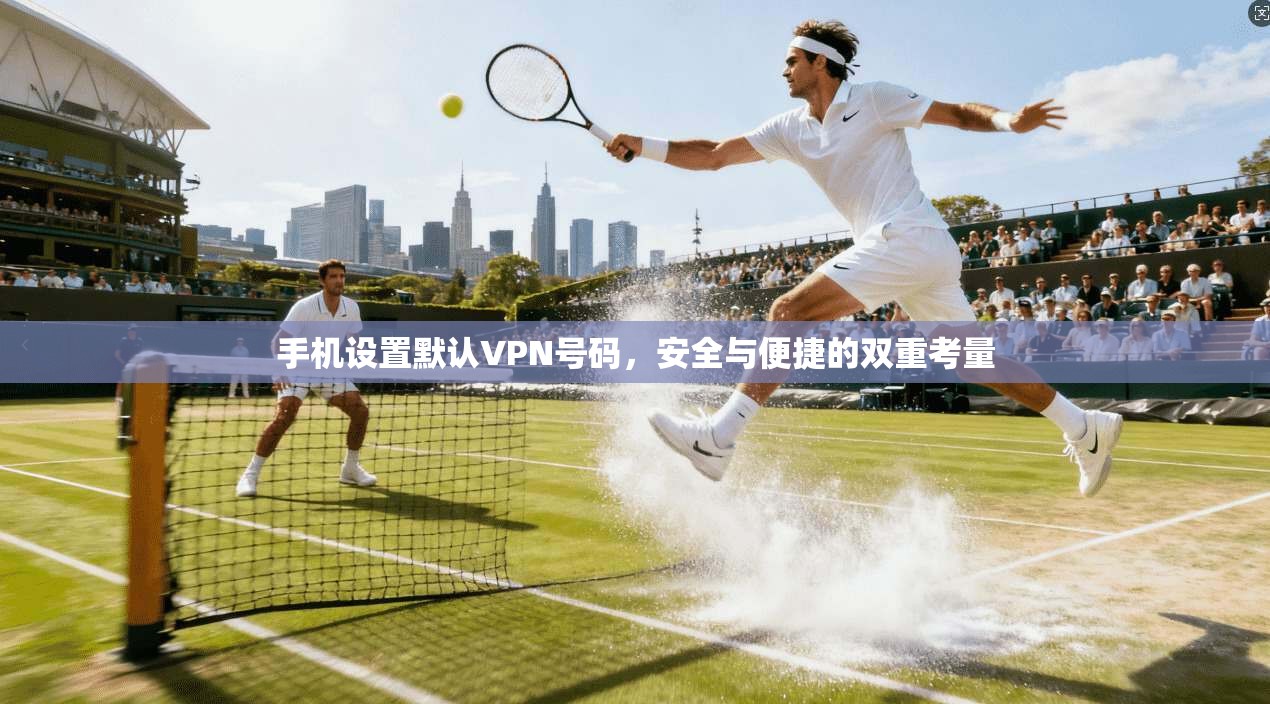 手机设置默认VPN号码，安全与便捷的双重考量