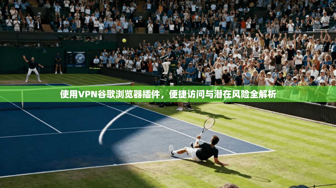 使用VPN谷歌浏览器插件,便捷访问与潜在风险全解析 使用VPN谷歌浏览器插件,便捷访问与潜在风险全解析