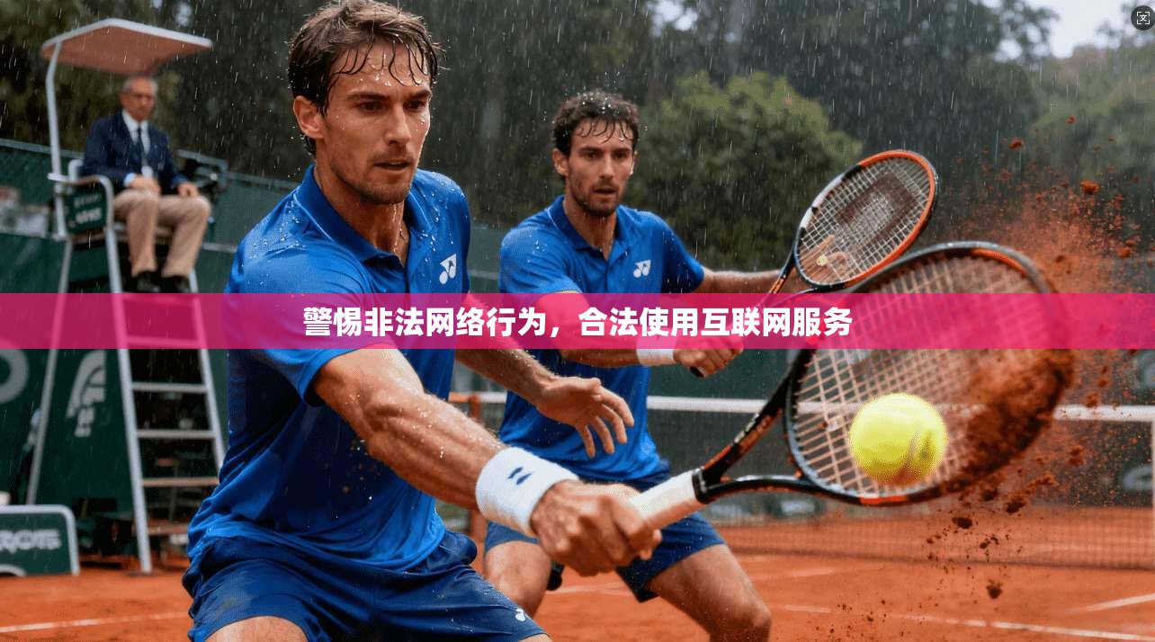警惕非法网络行为，合法使用互联网服务